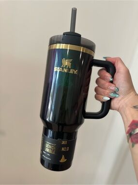 Auth Stanley x Wicked Elphaba For Good 40oz FlowState Quencher Tumbler NEW